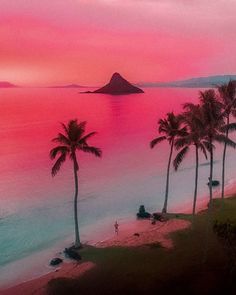 palm trees line the beach in front of an island at sunset with pink and blue colors