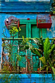 an old blue building with green shutters and plants