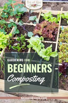 gardening for beginners composting with text overlay that reads gardening for beginners composting