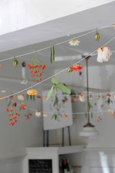 flowers are hanging from a line in the kitchen