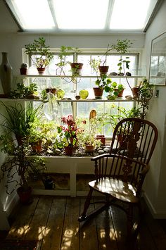 a chair sitting in front of a window filled with potted plants on top of windowsills