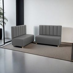 two gray couches sitting on top of a rug in an empty room next to a potted plant