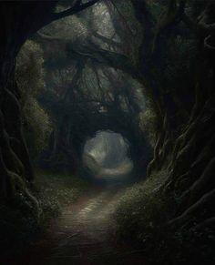 a dark forest filled with lots of trees and dirt road leading into the light at the end of the tunnel