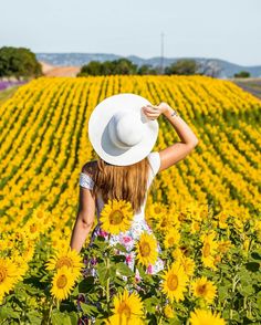 a woman standing in a field of sunflowers with her back to the camera