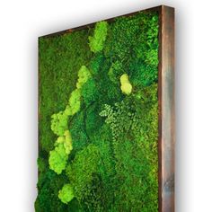 an image of a moss covered wall in the shape of a square piece of wood