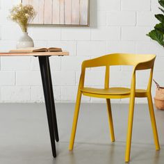 two chairs sitting next to each other in front of a table with a potted plant on it