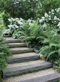 an image of a stone path in the middle of some trees and bushes with white flowers