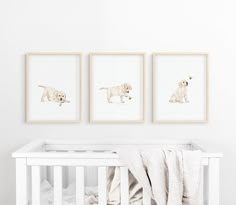 three framed pictures hang on the wall above a crib