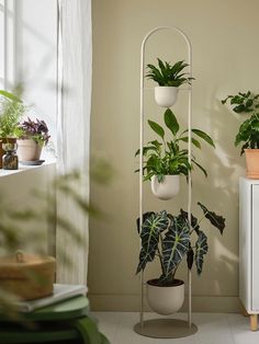 three potted plants on a metal stand in a room with white walls and windows