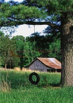 Tire Swing, The Grass, The Ranch