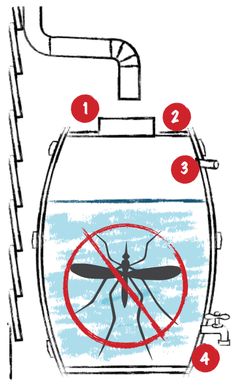 a diagram showing the location of mosquitoes in a tank with instructions on how to use it