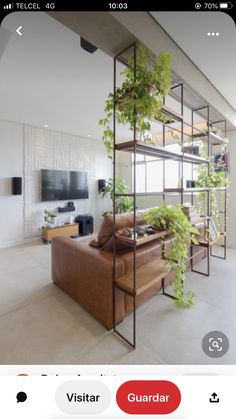 a living room filled with furniture and plants