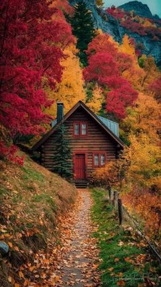 a cabin in the mountains surrounded by trees with autumn foliage on it's sides