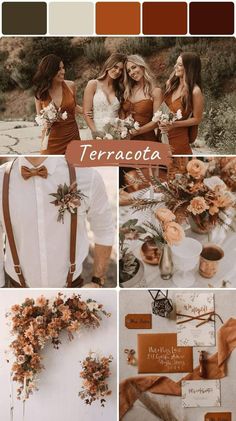 the color palette for terracotta is an orange and brown combination, with some white flowers