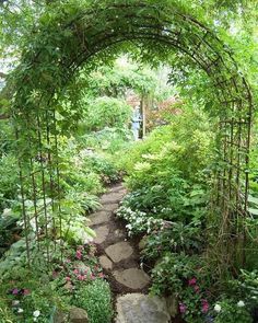 a garden with lots of plants and flowers