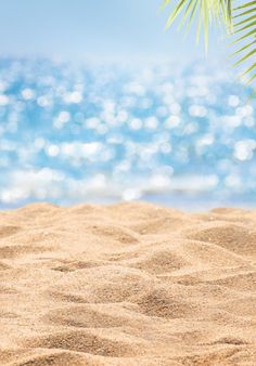 the beach is covered with sand and palm trees