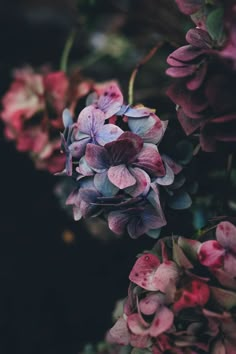 purple flowers with arabic writing on the top and bottom right corner, in front of a black background