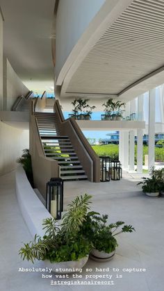 there are many plants in the planters on the floor next to the stairs that lead up to the second floor