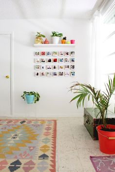 a room with some plants and pictures on the wall