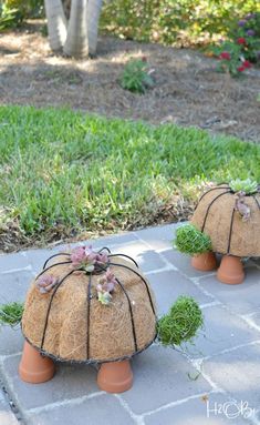 two potted plants sitting on top of some kind of thing in the ground with grass growing out of them