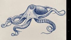 an octopus drawn in blue ink on a white paper with the words, i'm not sure what this is