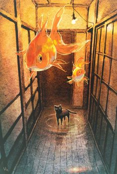 two goldfish in an empty room with one black cat