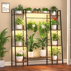 a shelf filled with potted plants in front of a wall mounted planter next to a wooden floor