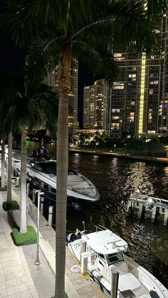 boats are docked in the water next to palm trees and city lights at night time