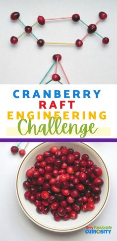 cranberry craft is an easy and fun activity for kids to do with their own hands