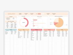 a spreadsheet with graphs and pies on the top, in front of a white background