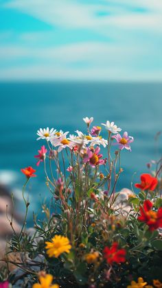 colorful wildflowers and other flowers in front of the ocean