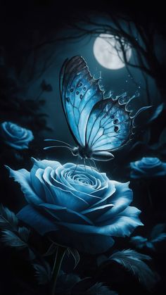 a blue butterfly sitting on top of a rose in front of a moonlit sky