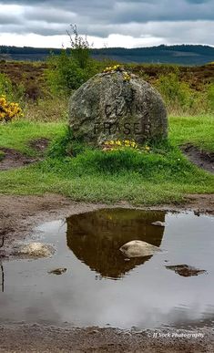 a large rock sitting on top of a lush green field next to a puddle of water