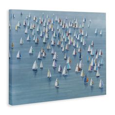 a large group of sailboats floating in the ocean