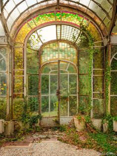 the inside of an abandoned building with ivy growing on it