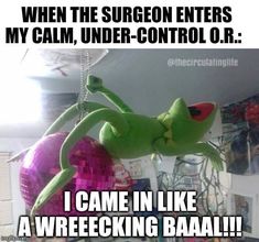 a green frog hanging from the ceiling with caption that reads, when the surgeon enters my calm, under - control dr i came in like a wrecking baaa