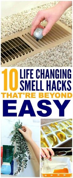 the cover of 10 life changing smell hacks that're beyond easy