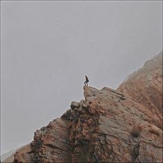 a lone bird standing on top of a rock formation in the foggy mountainside