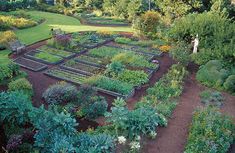 an aerial view of a garden with lots of plants