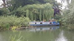 a boat that is sitting in the water next to some trees and bushes on the shore