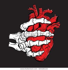 a human heart with bones and blood vessels in the center on a black background - stock photo