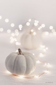 two white pumpkins sitting on top of a table next to string lights and fairy lights