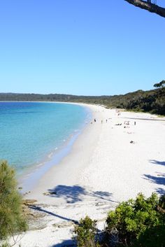 people are walking on the beach near the water's edge and trees in the foreground