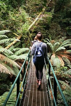 a woman walking across a suspension bridge in the forest with lots of trees and ferns