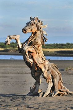 an old driftwood horse on the beach