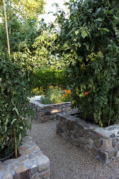 a stone bench surrounded by trees and plants in a garden area with gravel path leading to it