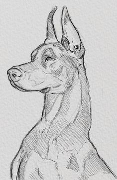 a drawing of a dog sitting down with its head turned to the side and it's eyes closed