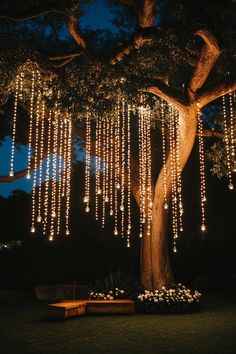 a tree with lights hanging from it's branches in the night time, next to a bench