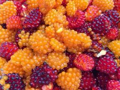 close up view of berries and other fruits