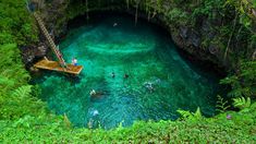 people are swimming in the blue hole, surrounded by greenery and hanging from trees